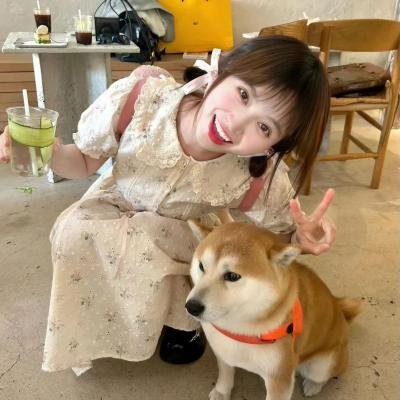 简单西蒙